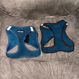Voyager Blue Dog Harness
